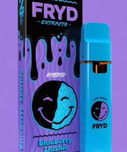 fryd blueberry zlushie disposable