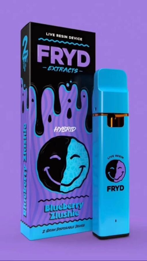 fryd blueberry zlushie disposable