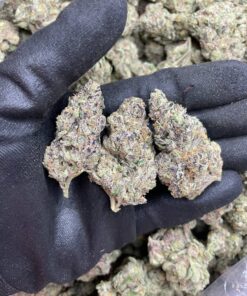 Super runtz strain