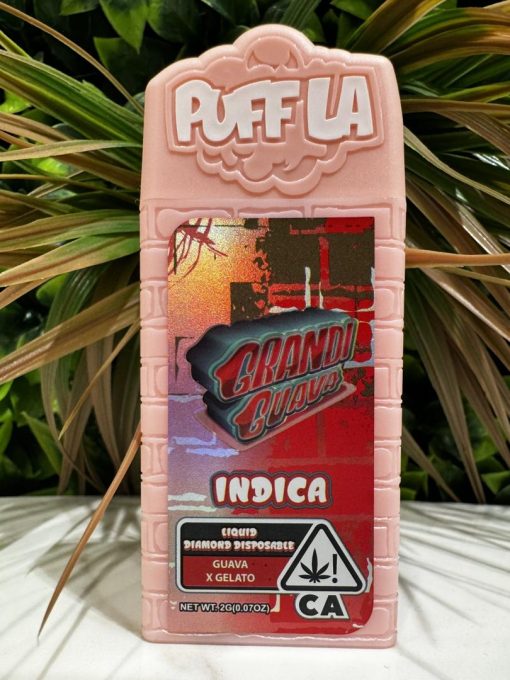 Puff LA Grandi Guava Disposable