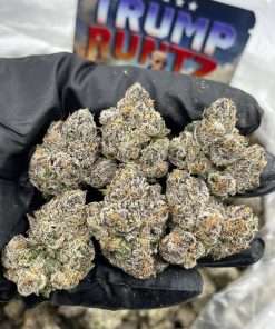 TRUMP RUNTZ STRAIN EXOTIC